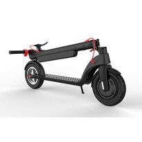 Electric scooter BEASTER BS801B 700W 36V 10Ah (black)