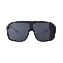 Sunglasses FORCE Mondo black lenses (black)
