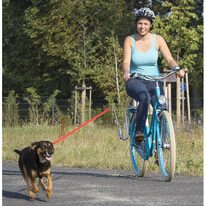 Šuns pavadėlio tvirtinimas prie dviračio
