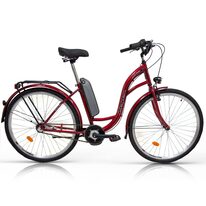 Zeger Classic 28" N3 size 18,5" (47cm) (steel, red)